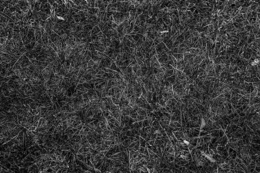 Gri yapay ot doğal arka plan