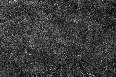 Gri yapay ot doğal arka plan