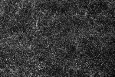 Gri yapay ot doğal arka plan