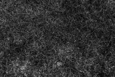 Gri yapay ot doğal arka plan