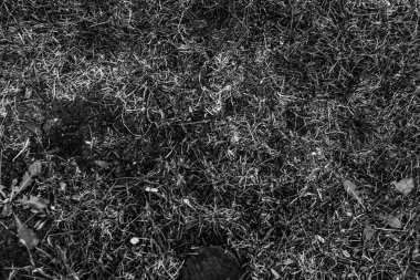 Gri yapay ot doğal arka plan