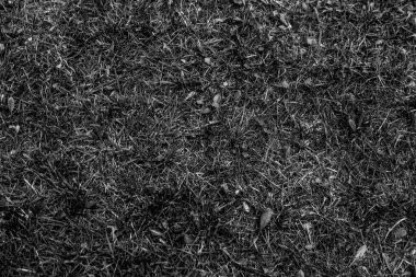 Gri yapay ot doğal arka plan