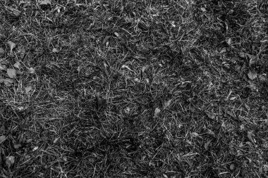 Gri yapay ot doğal arka plan