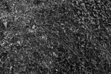 Gri yapay ot doğal arka plan