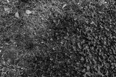 Gri yapay ot doğal arka plan