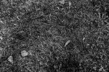 Gri yapay ot doğal arka plan