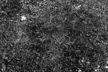 Gri yapay ot doğal arka plan