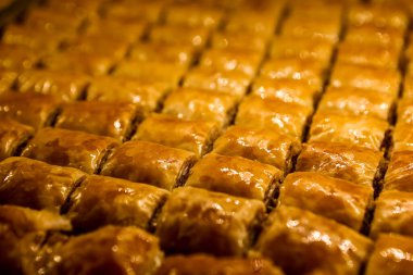 Geleneksel hindistancevizli tatlı baklavası. Ev yapımı fındıklı ve ballı baklava..