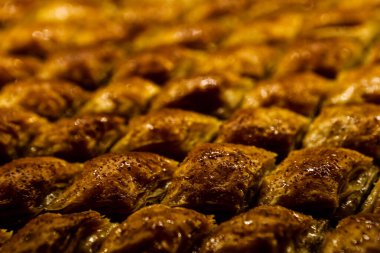 Geleneksel hindistancevizli tatlı baklavası. Ev yapımı fındıklı ve ballı baklava..