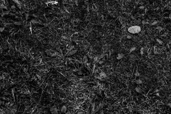 灰色の人工芝自然背景 — ストック写真