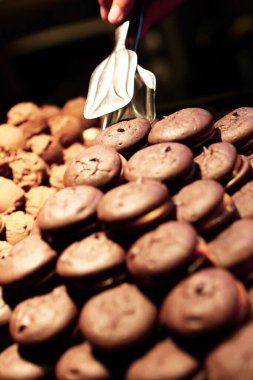 Bir grup çeşit kurabiye. Çikolata parçacıklı, yulaflı, kuru üzümlü, beyaz çikolatalı.