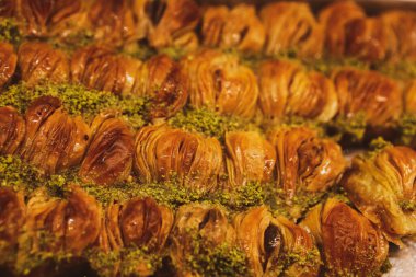 Geleneksel hindistancevizli tatlı baklavası. Ev yapımı fındıklı ve ballı baklava..