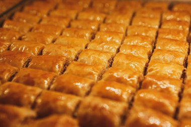 Geleneksel hindistancevizli tatlı baklavası. Ev yapımı fındıklı ve ballı baklava..