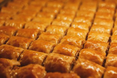 Geleneksel hindistancevizli tatlı baklavası. Ev yapımı fındıklı ve ballı baklava..