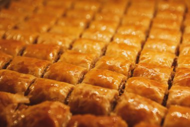 Geleneksel hindistancevizli tatlı baklavası. Ev yapımı fındıklı ve ballı baklava..