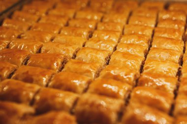 Geleneksel hindistancevizli tatlı baklavası. Ev yapımı fındıklı ve ballı baklava..