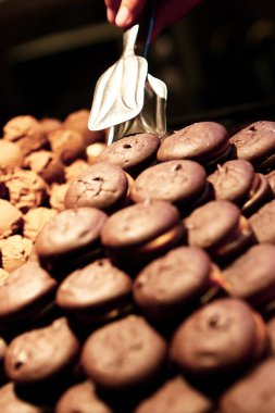 Bir grup çeşit kurabiye. Çikolata parçacıklı, yulaflı, kuru üzümlü, beyaz çikolatalı.