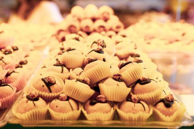 Bir grup çeşit kurabiye. Çikolata parçacıklı, yulaflı, kuru üzümlü, beyaz çikolatalı.