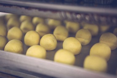 Bir grup çeşit kurabiye. Çikolata parçacıklı, yulaflı, kuru üzümlü, beyaz çikolatalı.