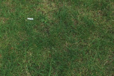 Yeşil yapay ot doğal arkaplan