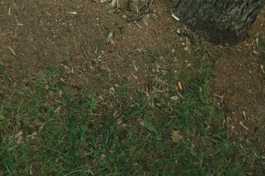 Yeşil yapay ot doğal arkaplan