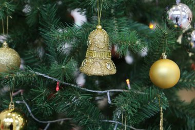 Çam Noel ağacı hediyesi.