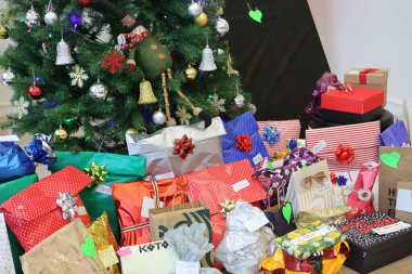 Çam Noel ağacı hediyesi.