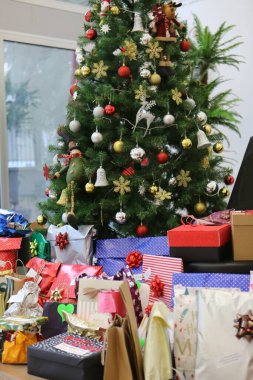 Çam Noel ağacı hediyesi.