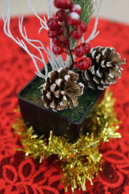 Çam Noel ağacı hediyesi.