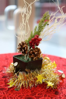 Çam Noel ağacı hediyesi.
