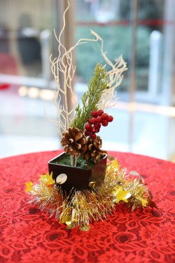 Çam Noel ağacı hediyesi.