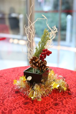 Çam Noel ağacı hediyesi.