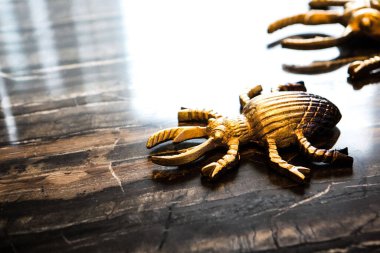 Modern oturma odasının içi.