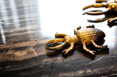 Modern oturma odasının içi.