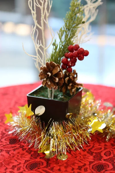 Çam Noel ağacı hediyesi.