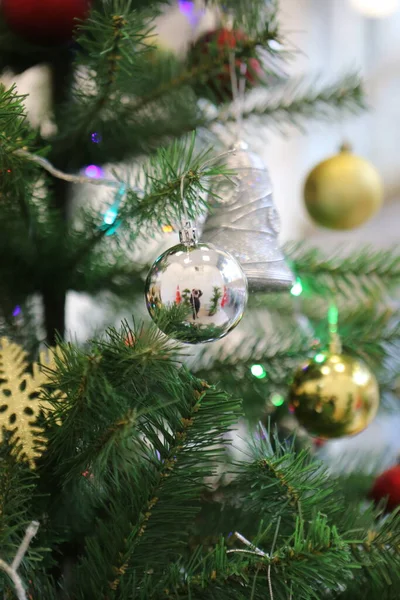 松树圣诞树礼物 — 图库照片