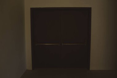 minimalist door, front door, wooden door, big wooden door