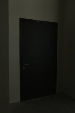 minimalist door, front door, wooden door, big wooden door