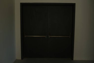 minimalist door, front door, wooden door, big wooden door