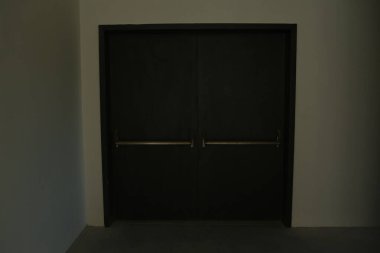 minimalist door, front door, wooden door, big wooden door