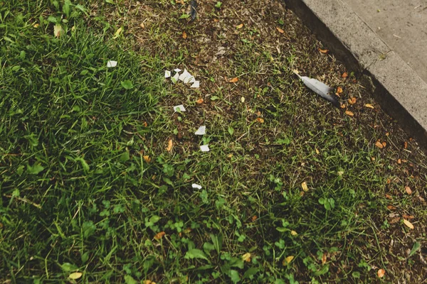 Yeşil yapay ot doğal arkaplan