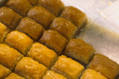 Geleneksel hindistancevizli tatlı baklavası. Ev yapımı fındıklı ve ballı baklava..