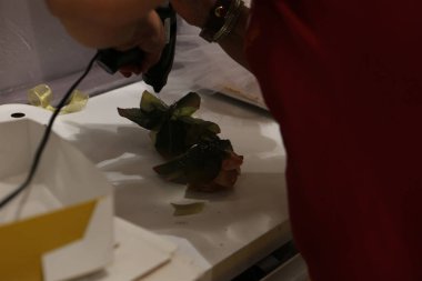 Modern çikolata toplayıcısı dekore eden bir kadın.