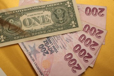 Türk Lirası ve Amerikan Doları