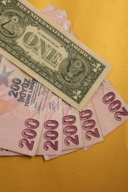 Türk Lirası ve Amerikan Doları