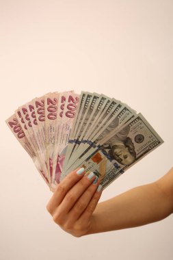 Türk Lirası ve Amerikan Doları