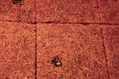 Masada lezzetli bir pasta var.