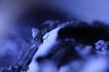 sigara külleri, siyah beyaz arkaplan