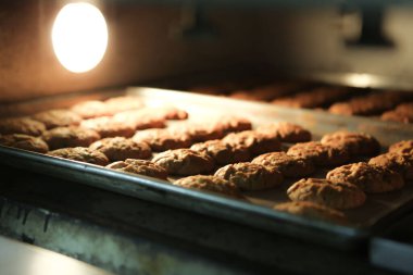 Bir grup çeşit kurabiye. Çikolata parçacıklı, yulaflı, kuru üzümlü, beyaz çikolatalı.