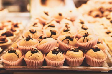 Bir grup çeşit kurabiye. Çikolata parçacıklı, yulaflı, kuru üzümlü, beyaz çikolatalı.